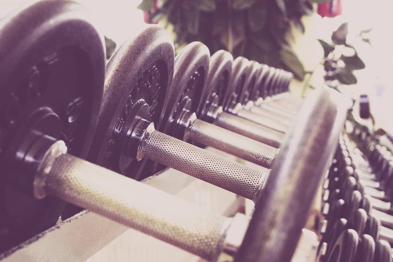 Row of dumbbells that are appropriate for beginner workouts.