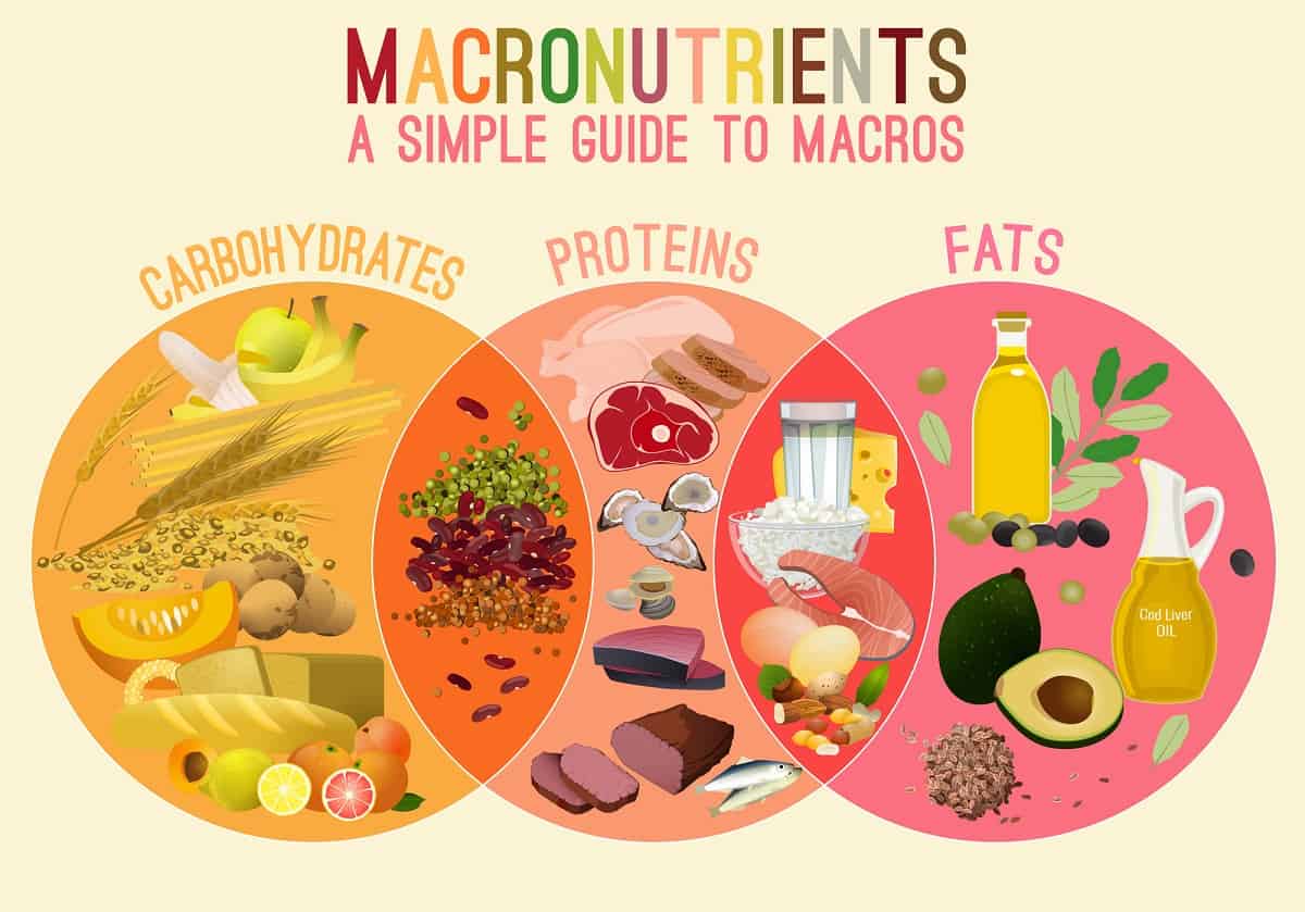 What are Macronutrients? (Everything You Need to Know)