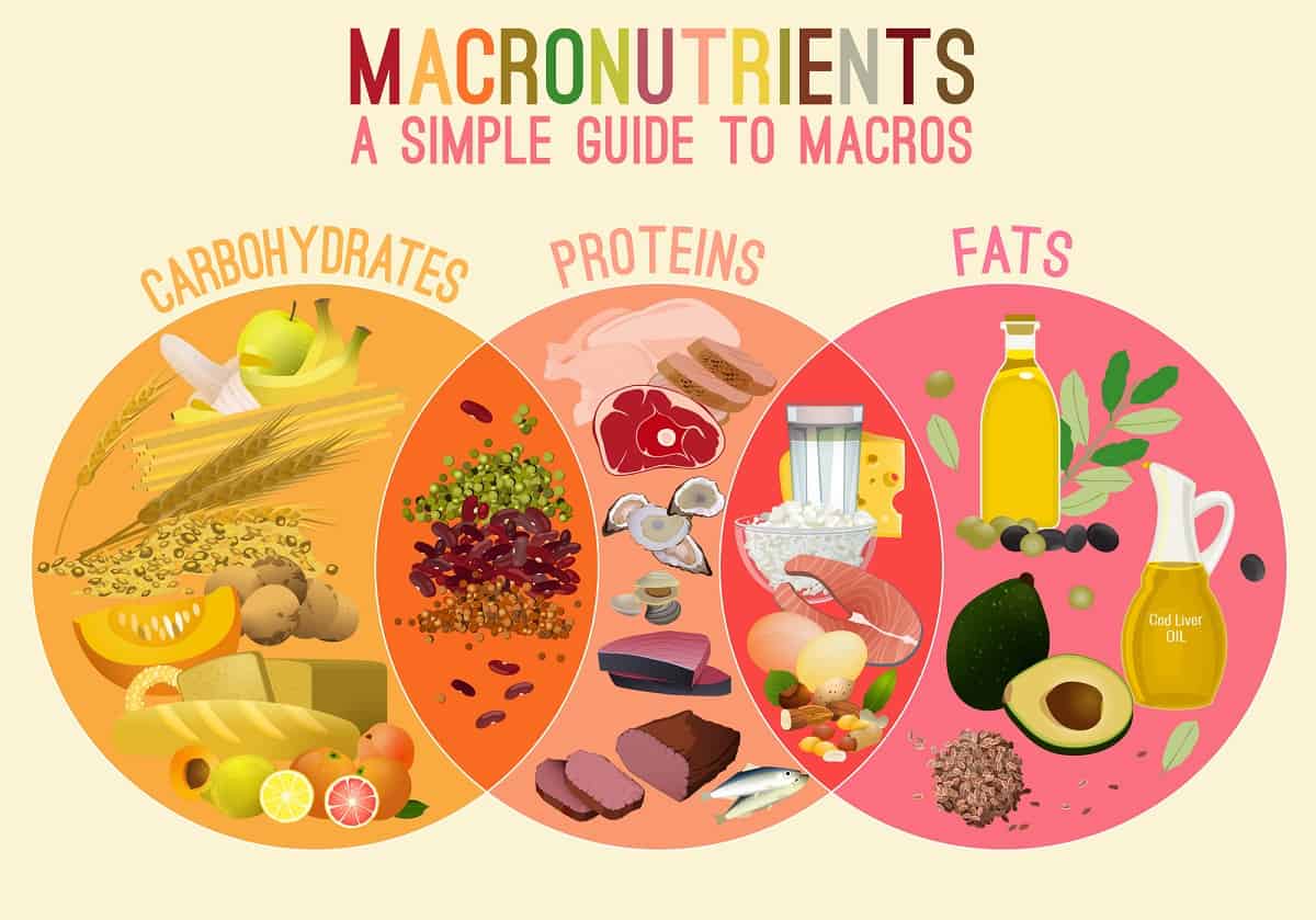 What Are Macronutrients Everything You Need To Know 6-types-of-nutrients
