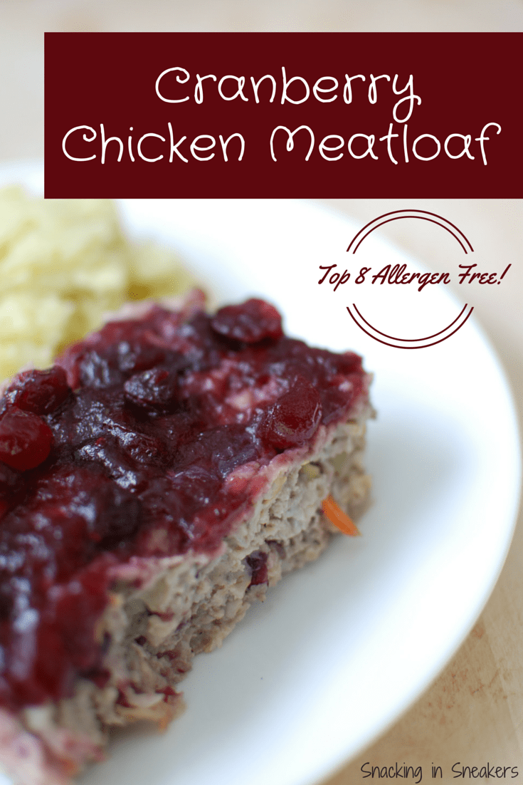 Cranberry Chicken Meatloaf {Healthy & Top 8 Allergen Free!} Snacking
