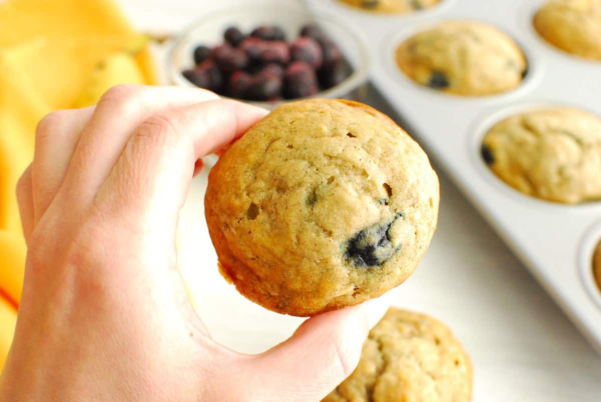 A woman's hand holding a whole wheat banana blueberry muffin.