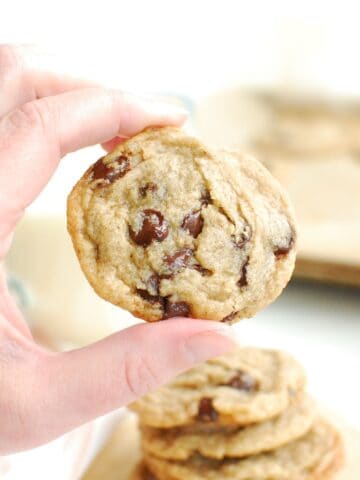 A woman's hand holding a dairy free egg free chocolate chip cookie.