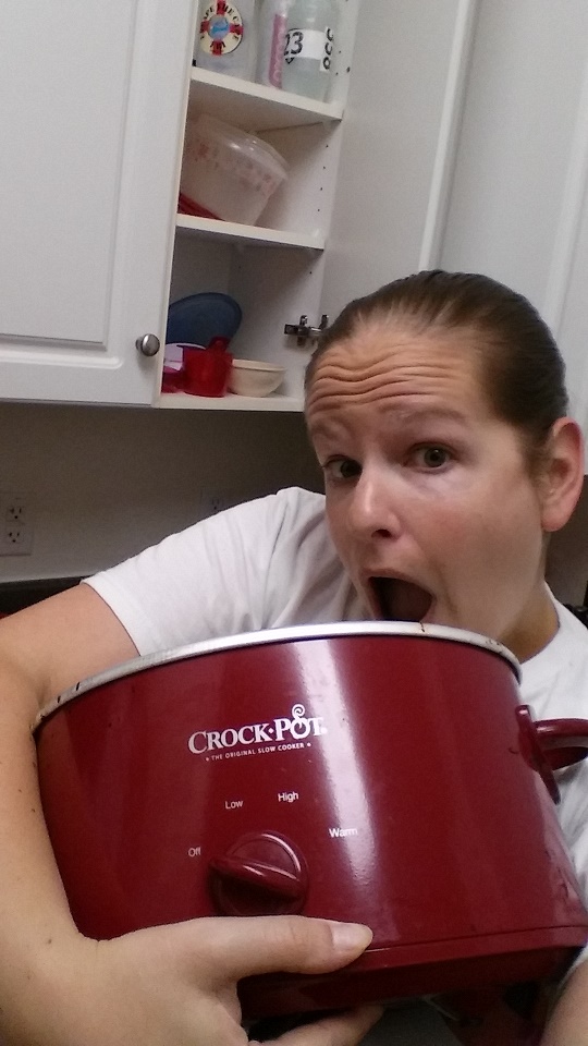 7 Tips for Crock Pot Cooking! Snacking in Sneakers