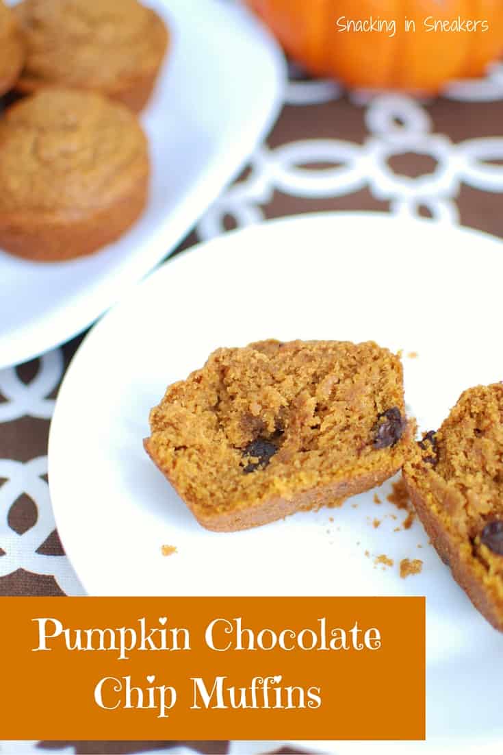 These Pumpkin Chocolate Chip Muffins are delicious - a perfect blend of fall pumpkin flavor and rich dark chocolate!