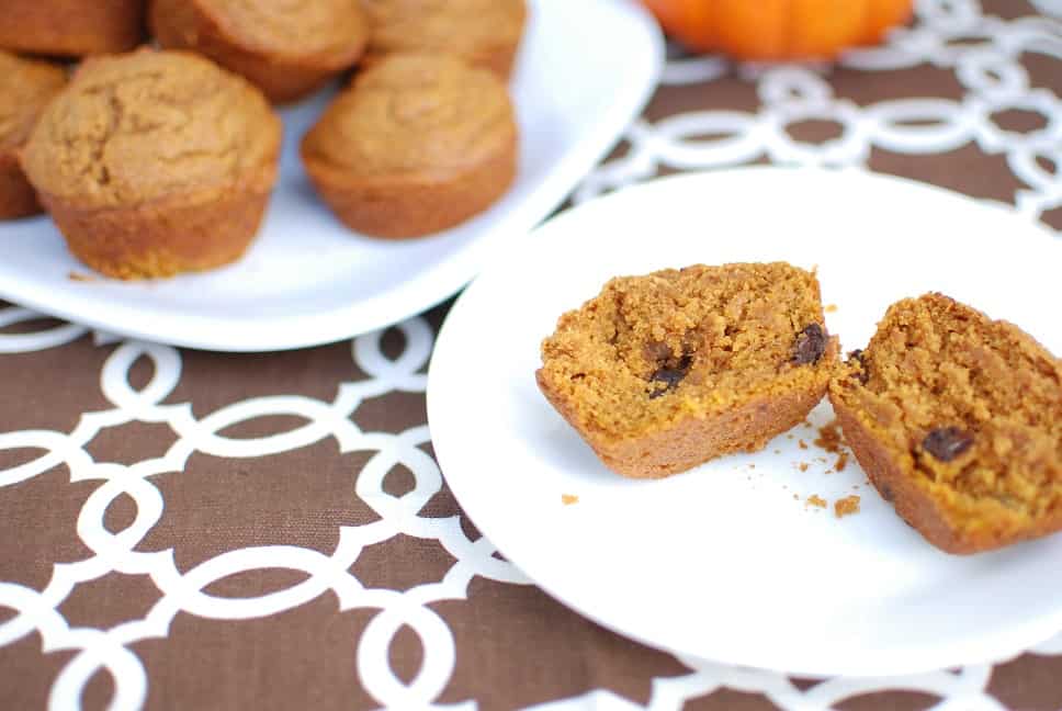 Pumpkin and Chocolate Chip Muffins