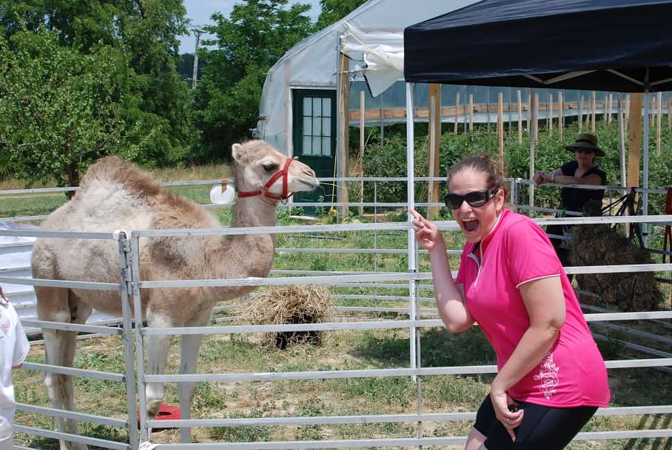 A woman pointing at a camel after riding in a Fark to Fork event.