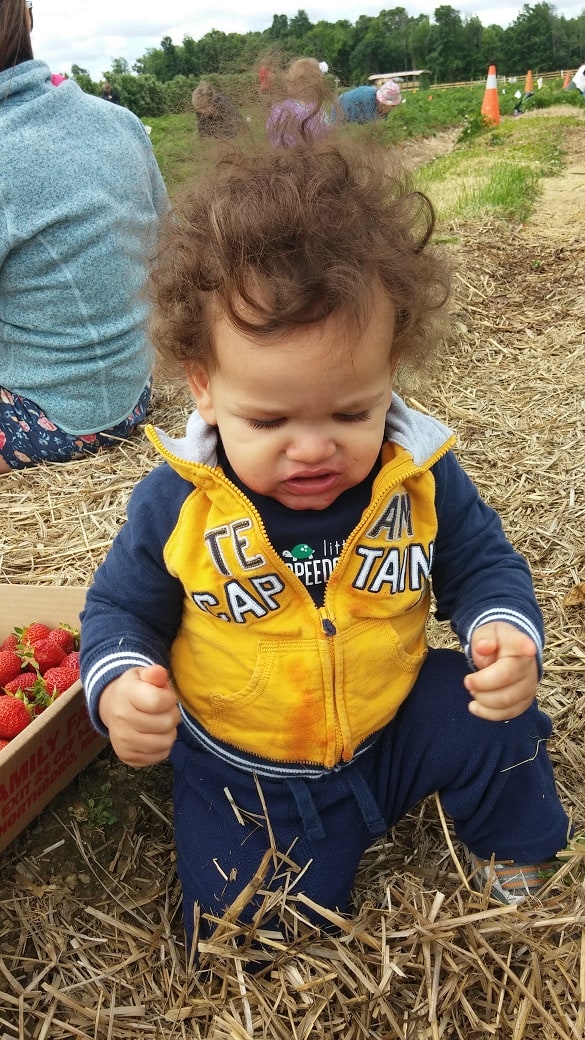 A toddler sitting in hay at a farm, next to a container of strawberries.
