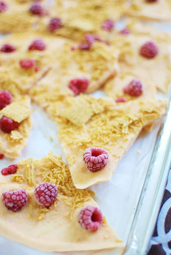 This pumpkin greek yogurt bark is a perfect fall snack or addition to your breakfast! At just 133 calories per serving, this baby still packs in 9 grams of protein. Such a great healthy recipe!