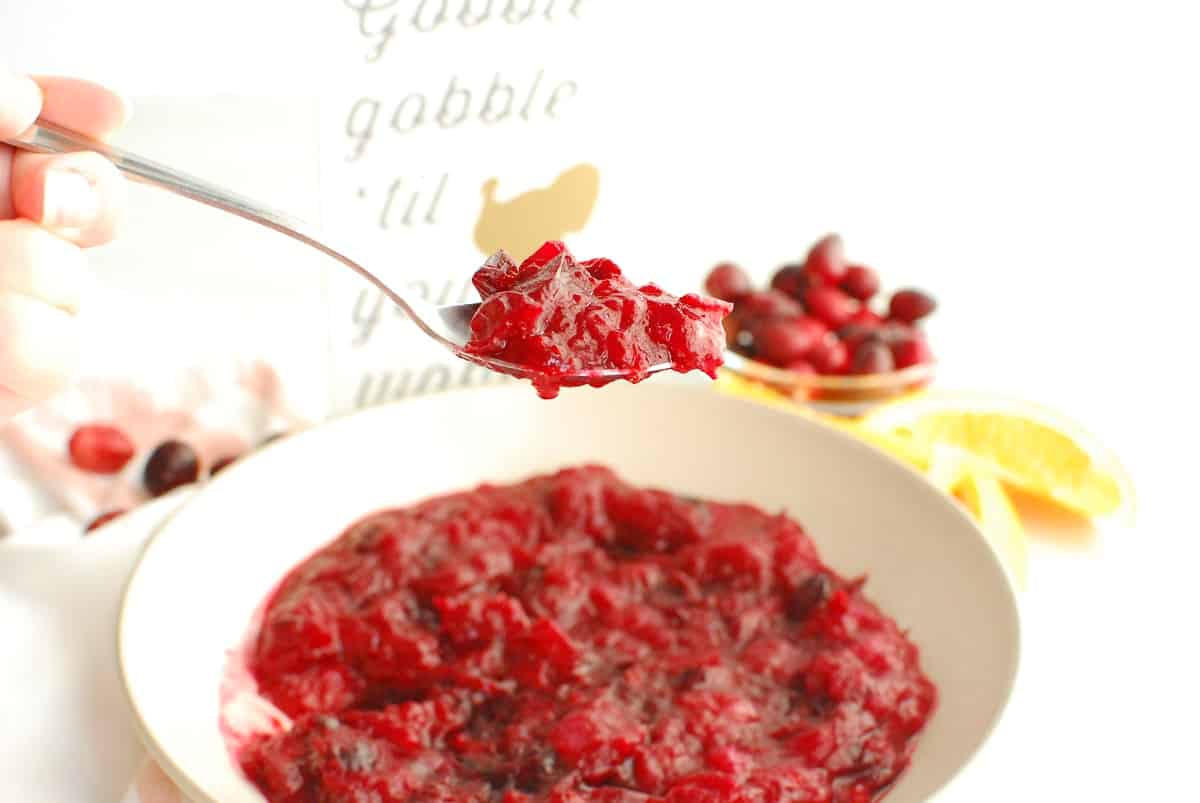 A spoonful of healthy cranberry sauce.