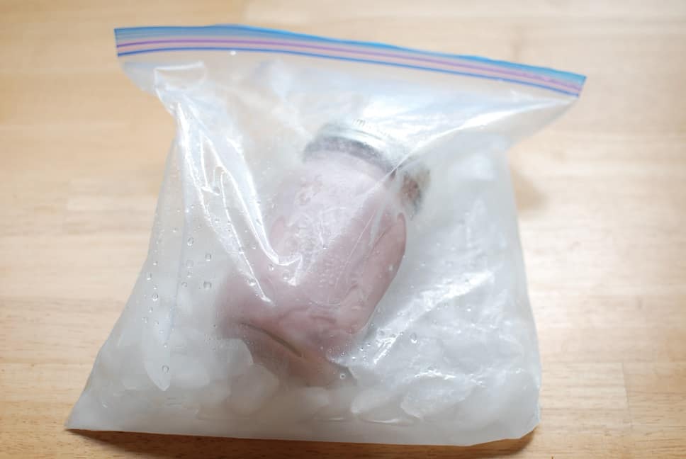 Frozen yogurt in a bag or ice cream in a bag