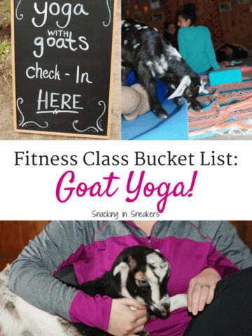 Goat yoga is a thing and it is amazing! This new fitness trend sounds kind of silly, but it’s so fun and therapeutic. As you flow through yoga poses you’ll be treated to baby goats frolicking around the room, ready to snuggle and play with you.