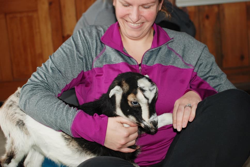 Goat yoga is a thing and it is amazing! This new fitness trend sounds kind of silly, but it’s so fun and therapeutic. As you flow through yoga poses you’ll be treated to baby goats frolicking around the room, ready to snuggle and play with you. 