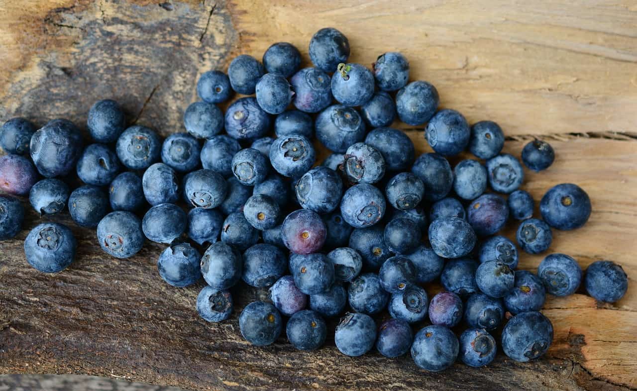 Blueberries for a Runner's Diet