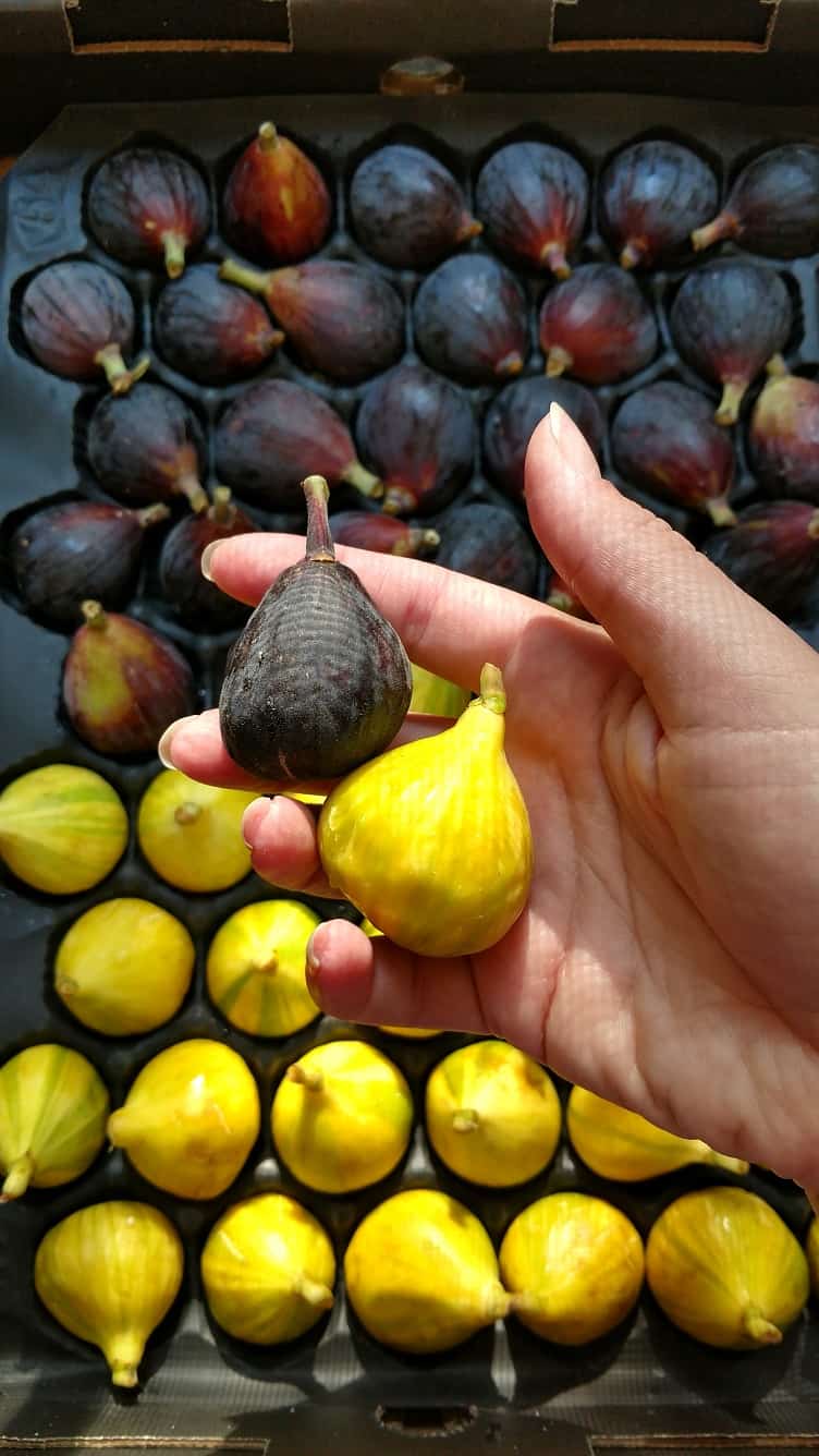 Two varieties of fresh figs
