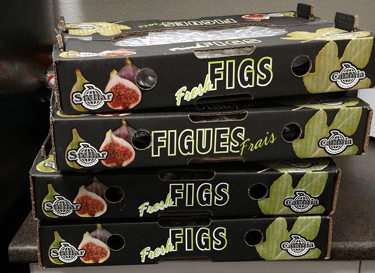 Flats of Figs on Counter