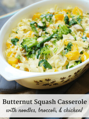 Craving a tasty noodle recipe? Try a butternut squash casserole with noodles, chicken, and broccoli!