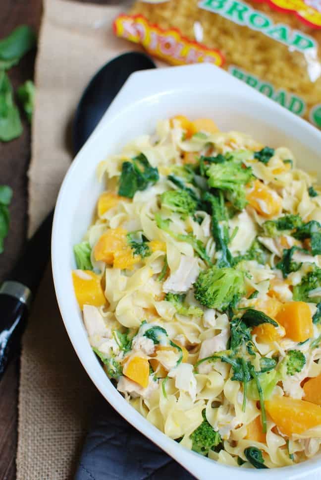 Craving a tasty noodle recipe? Try a butternut squash casserole with noodles, chicken, and broccoli!