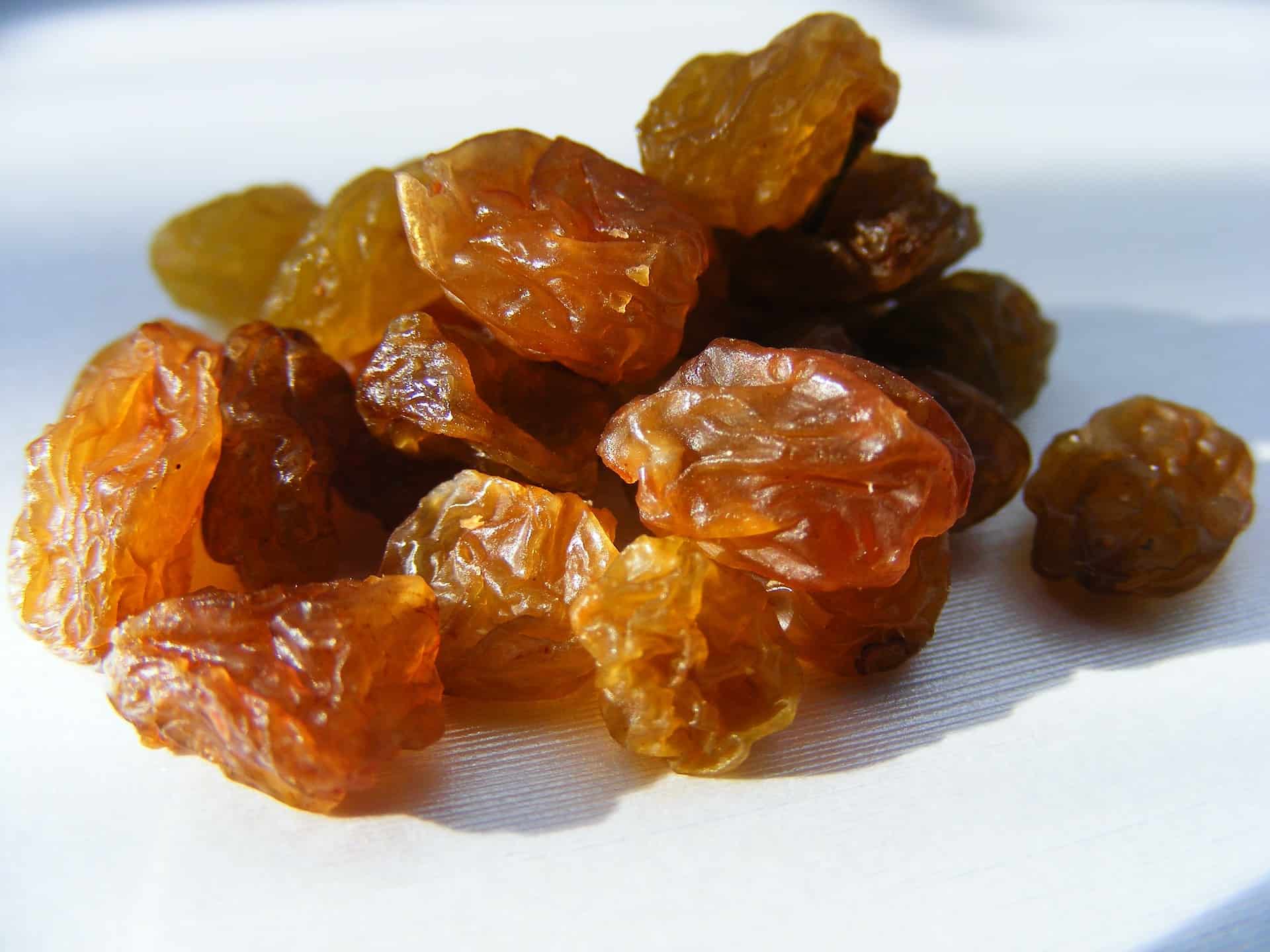 Dried fruit raisins for oatmeal