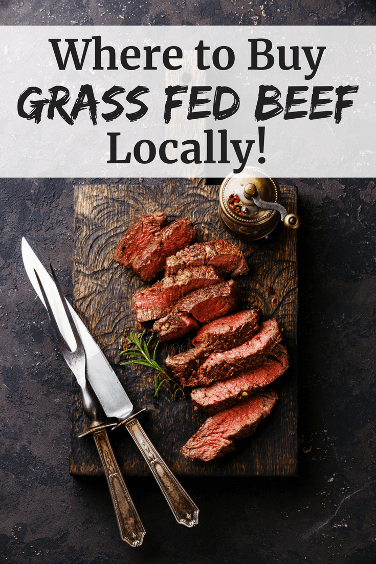 Where to Buy Grass Fed Beef Locally - Snacking in Sneakers