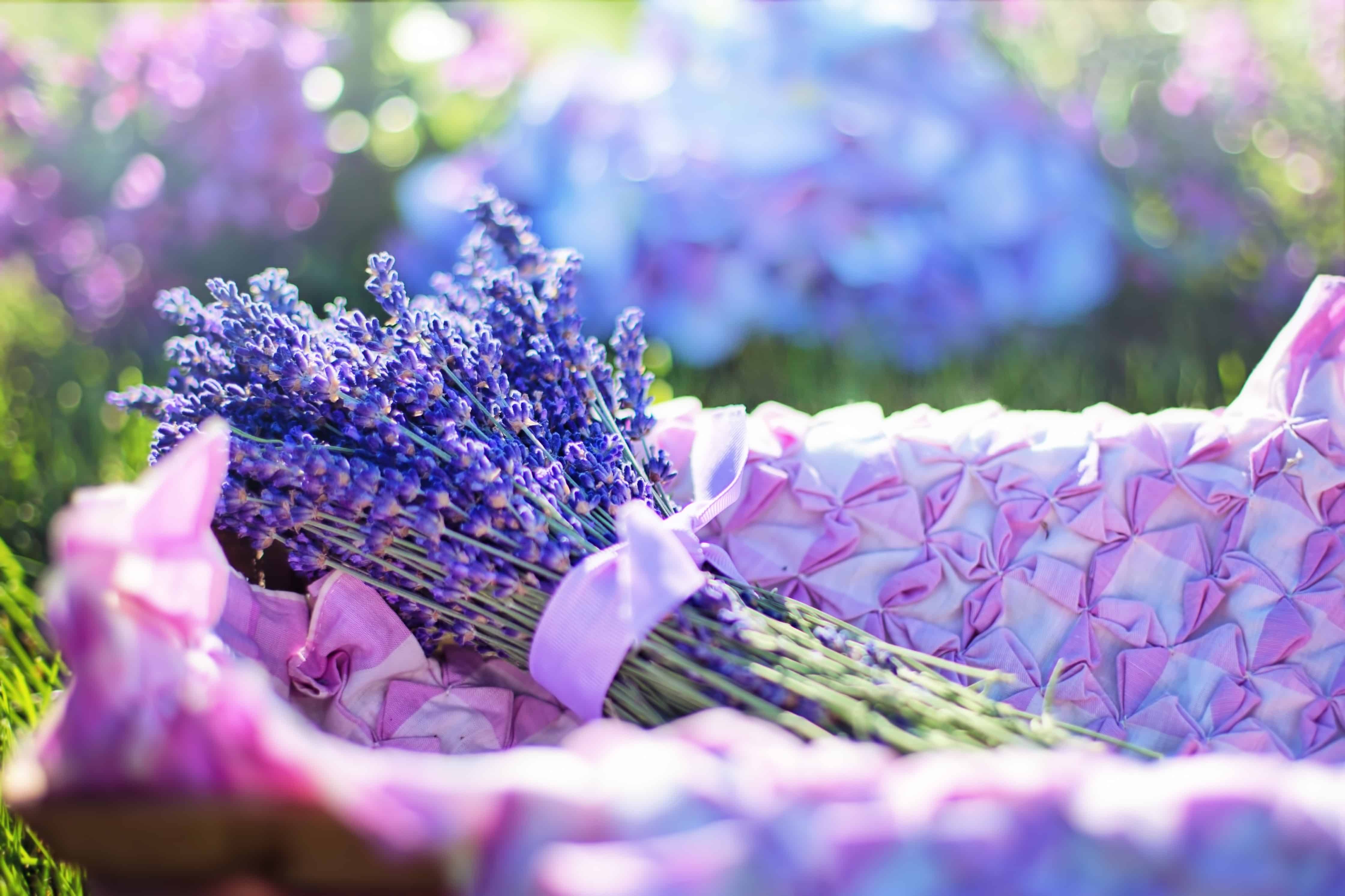 A bunch of lavender tied together in a field