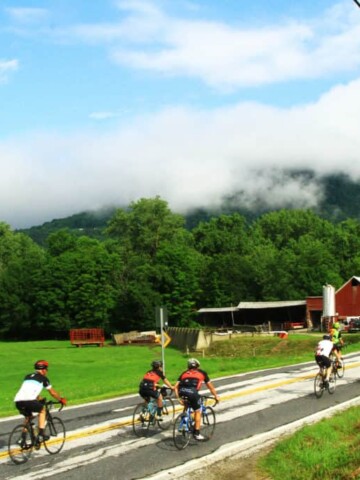 A group of cyclists riding along a quiet country road.