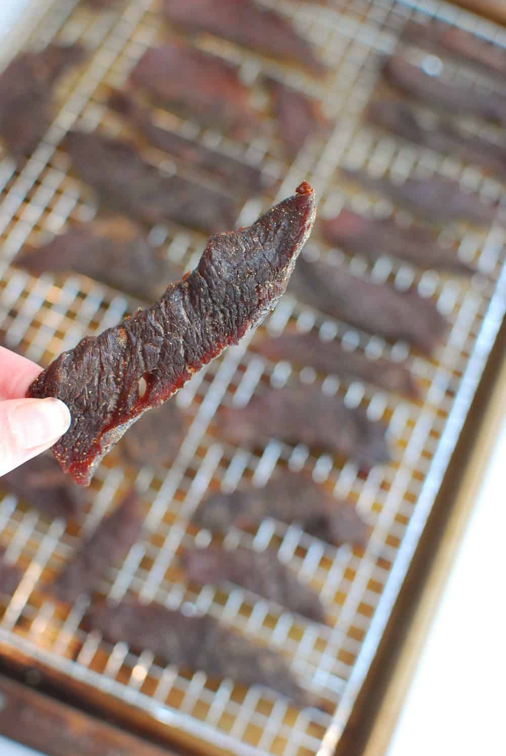 A strip of beef jerky in someone's hand