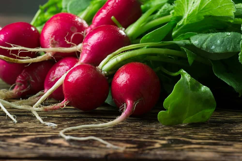 a bunch of radishes