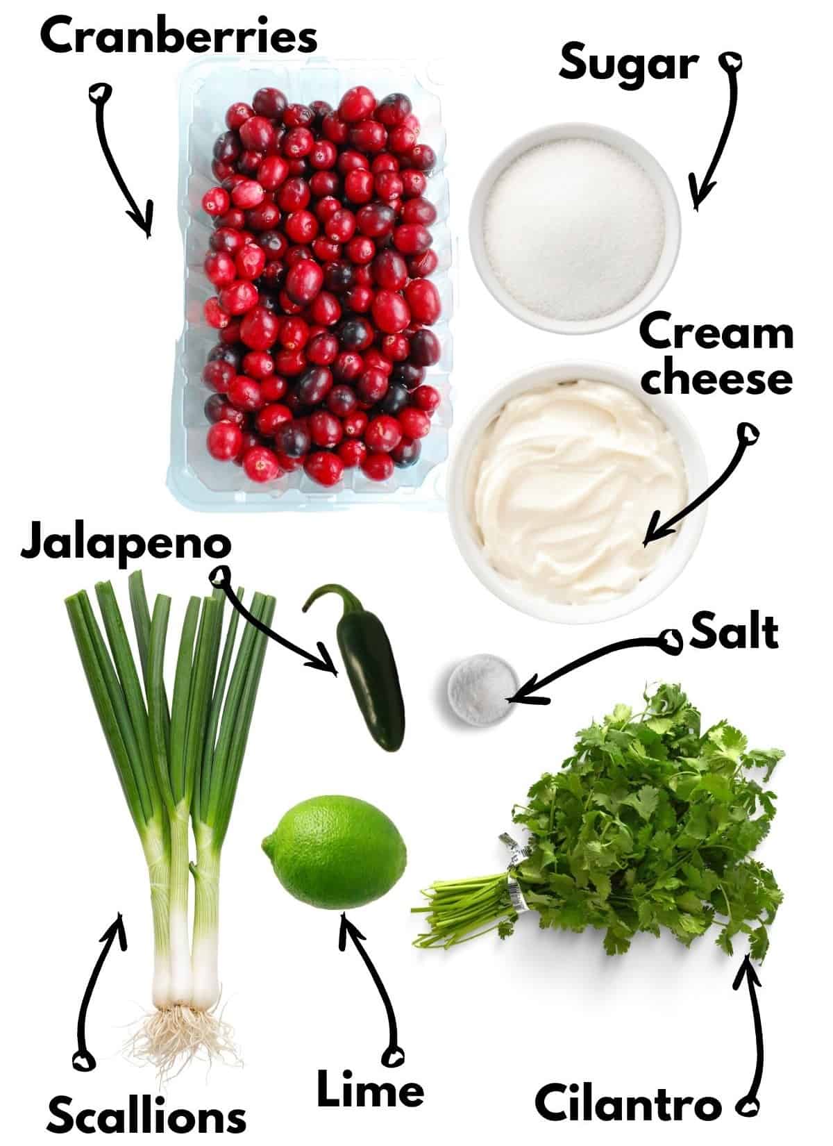 Cranberries, scallions, lime, jalapeno, cream cheese, sugar, salt, cilantro.