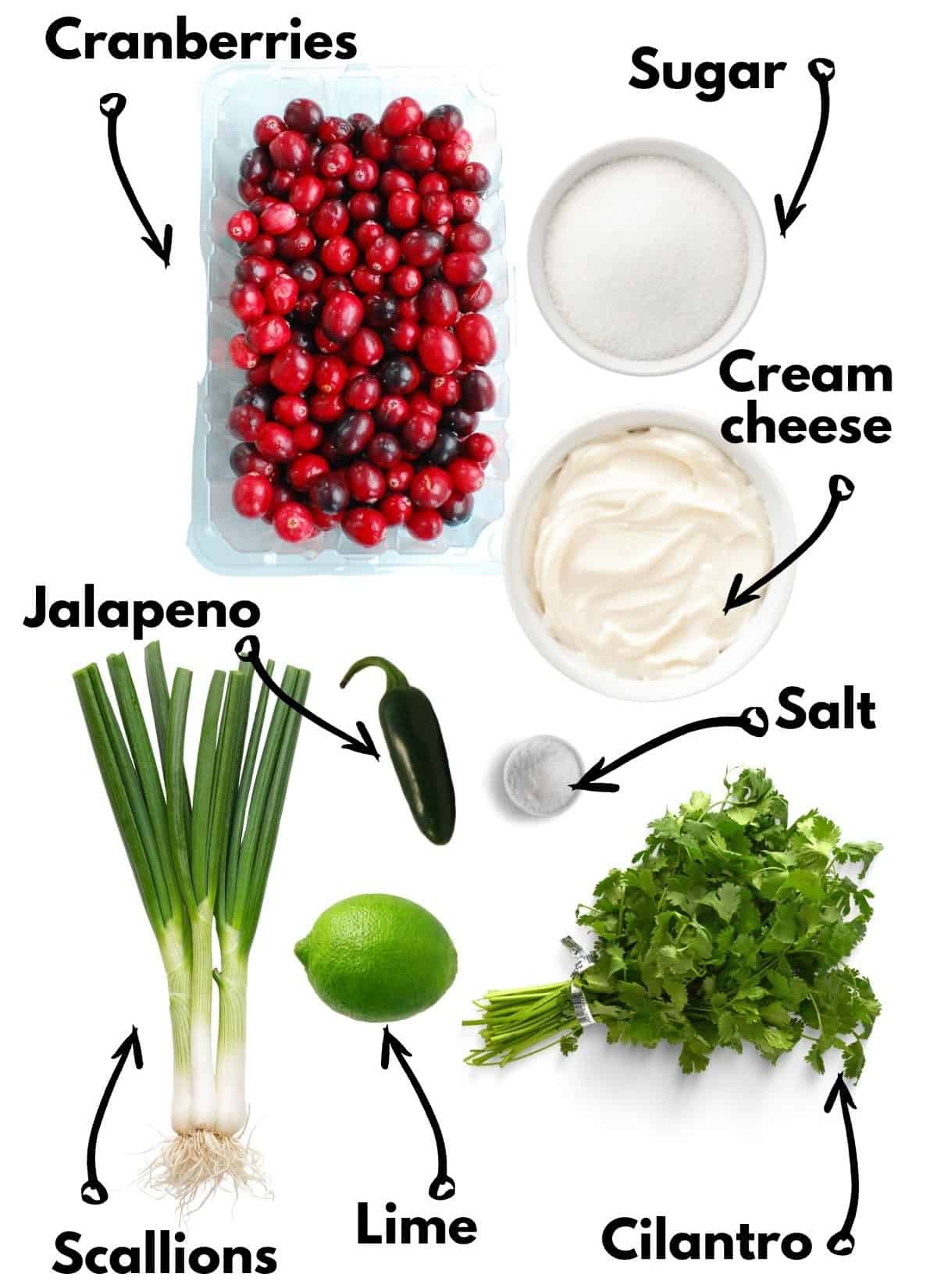 Cranberries, scallions, lime, jalapeno, cream cheese, sugar, salt, cilantro.