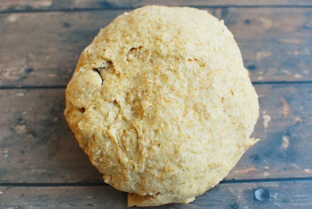 a firm elastic ball of sourdough pasta dough 