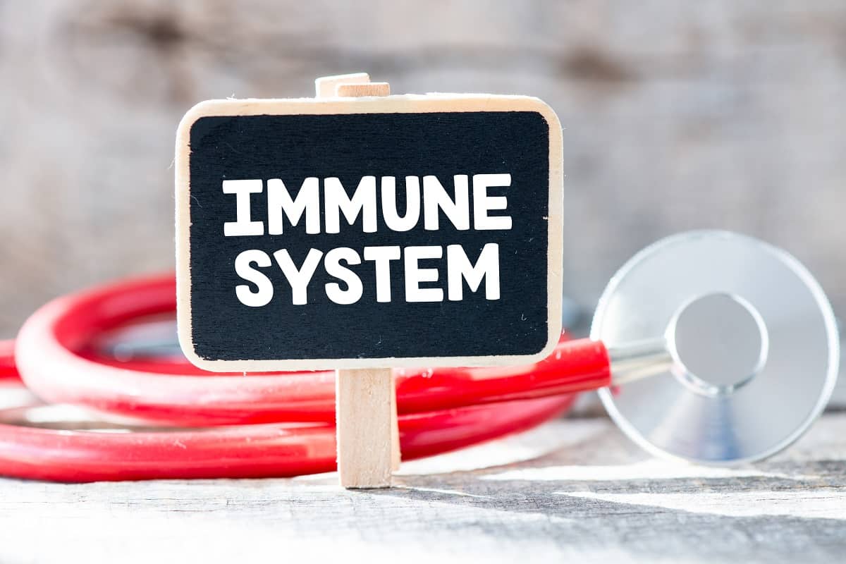 a stethescope and a little sign that says immune system