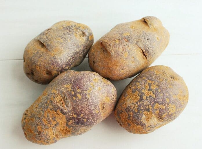 Four purple potatoes sitting on the counter.