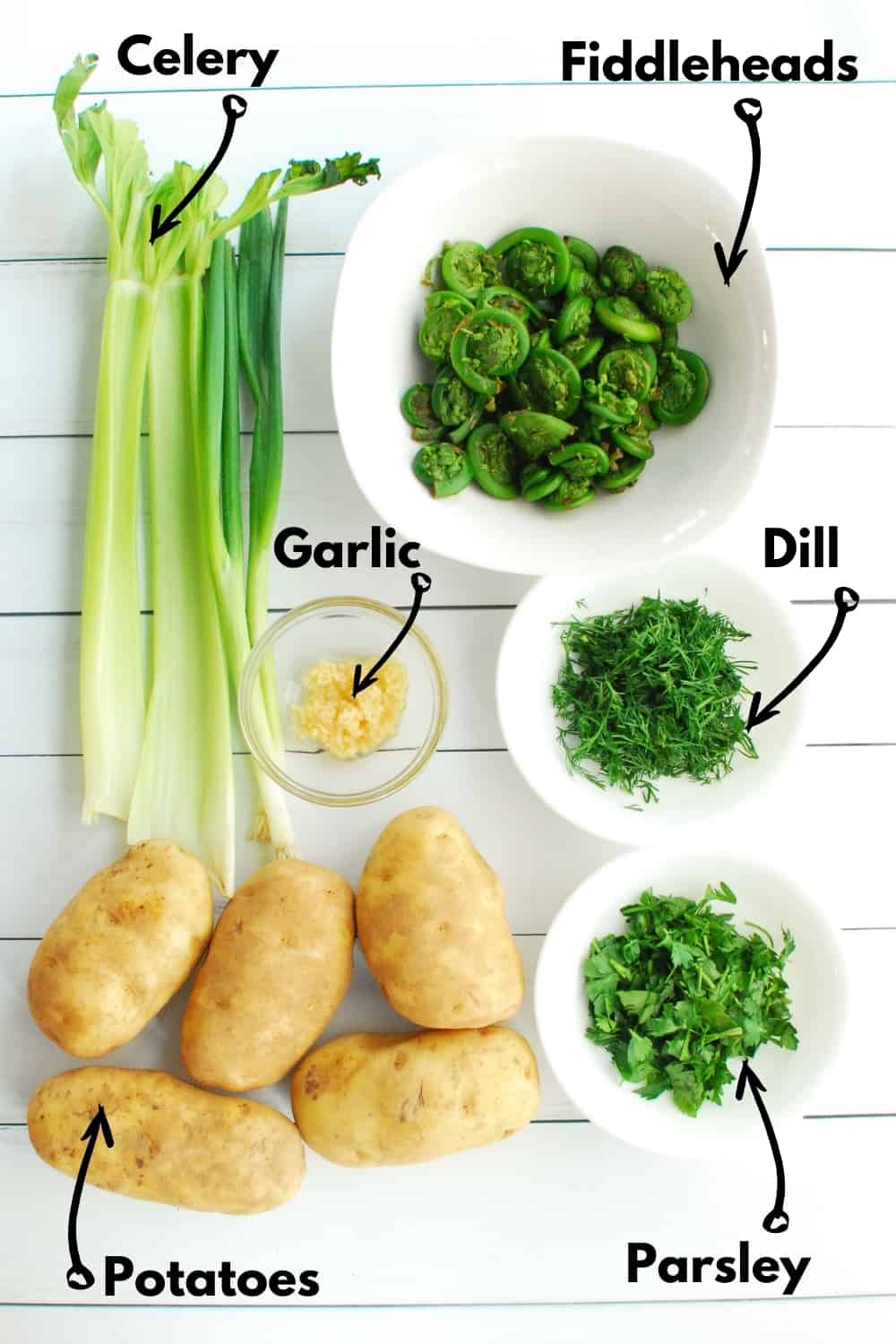 Overhead shot of celery, potatoes, garlic, dill, parsley, and fiddleheads.