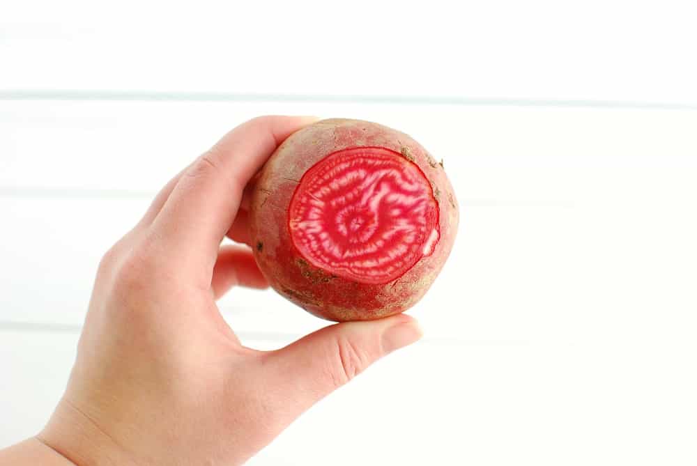 A woman's hand holding a sliced chioggia beet.