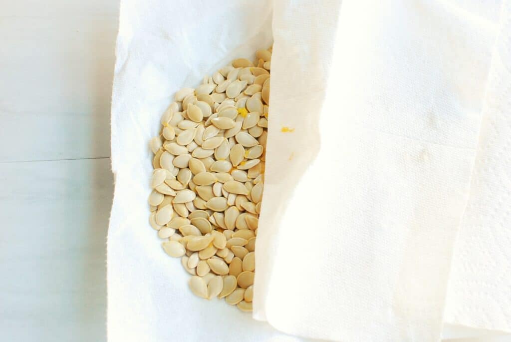 Pumpkin seeds drying on a paper towel lined plate.