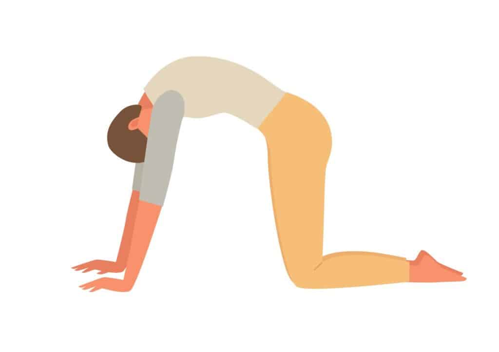 Illustration of a woman doing a cat stretch.