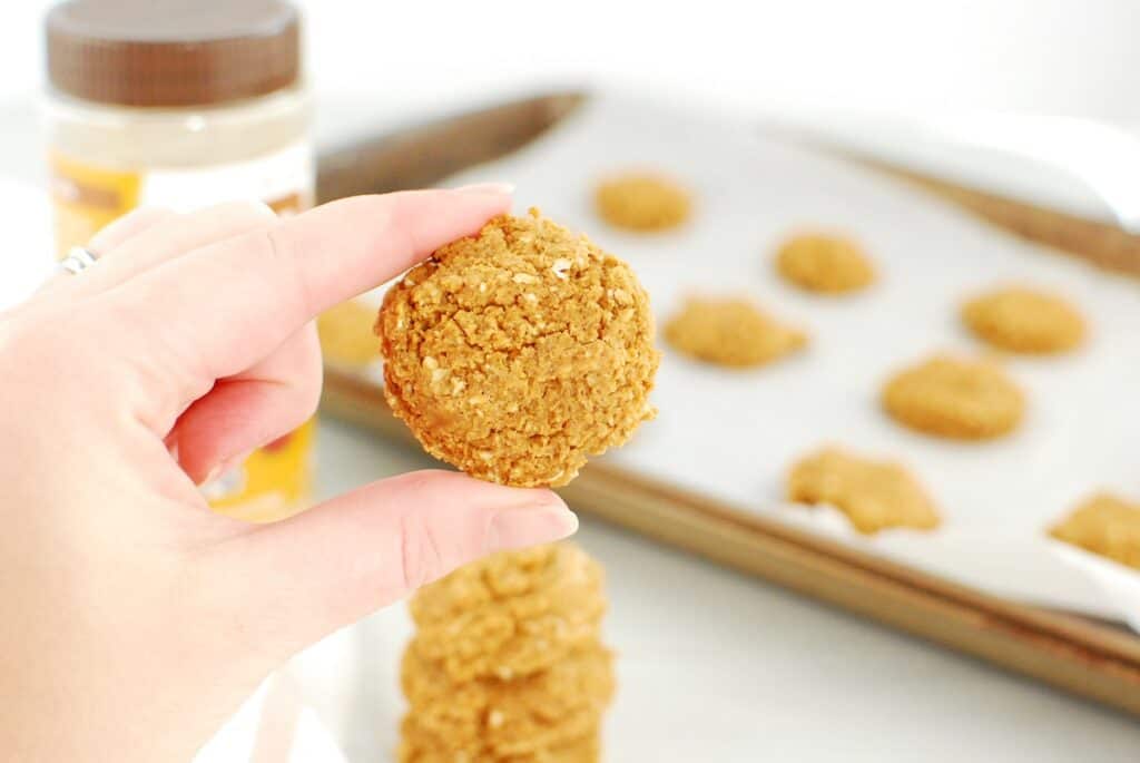 A woman's hand holding a powdered peanut butter cookie.