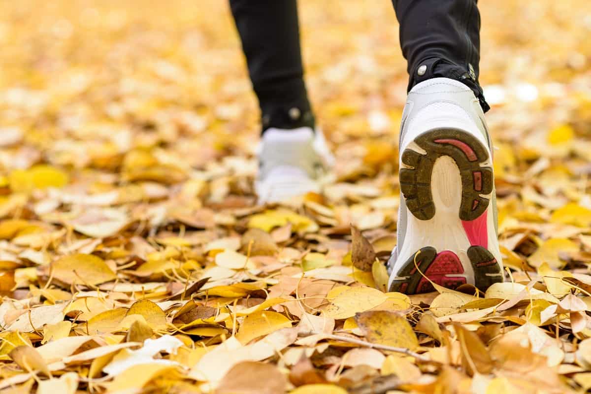 Sneakers walking in fall leaves outside.