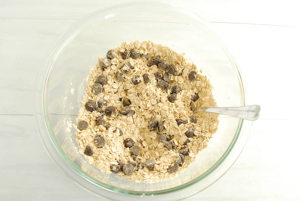 Oats, protein powder, chocolate chips, coconut, and salt mixed together in a glass bowl.