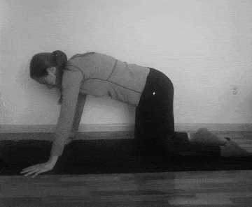 A woman doing a pigeon pose stretch.