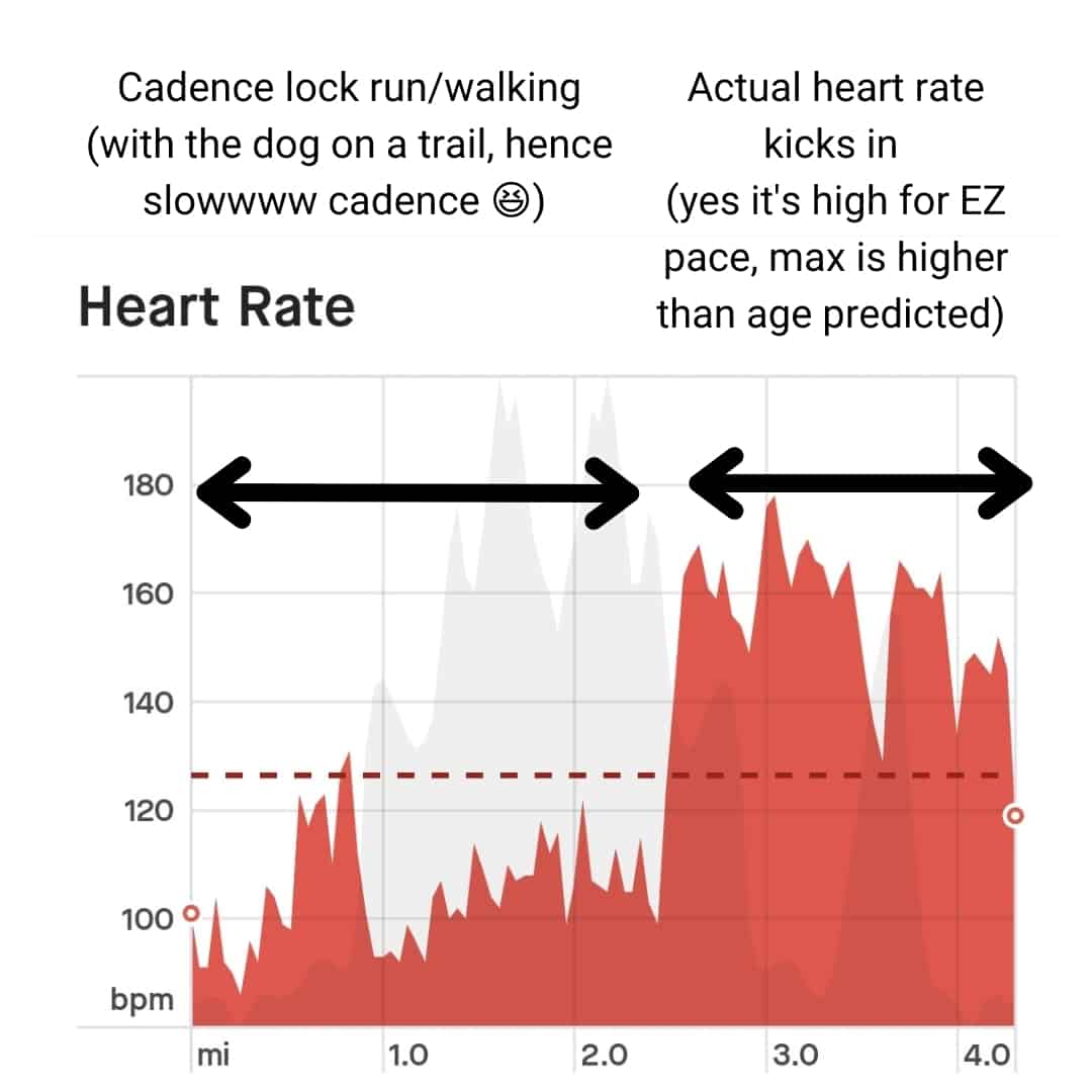 A graph of heart rate data showing cadence lock on a run.
