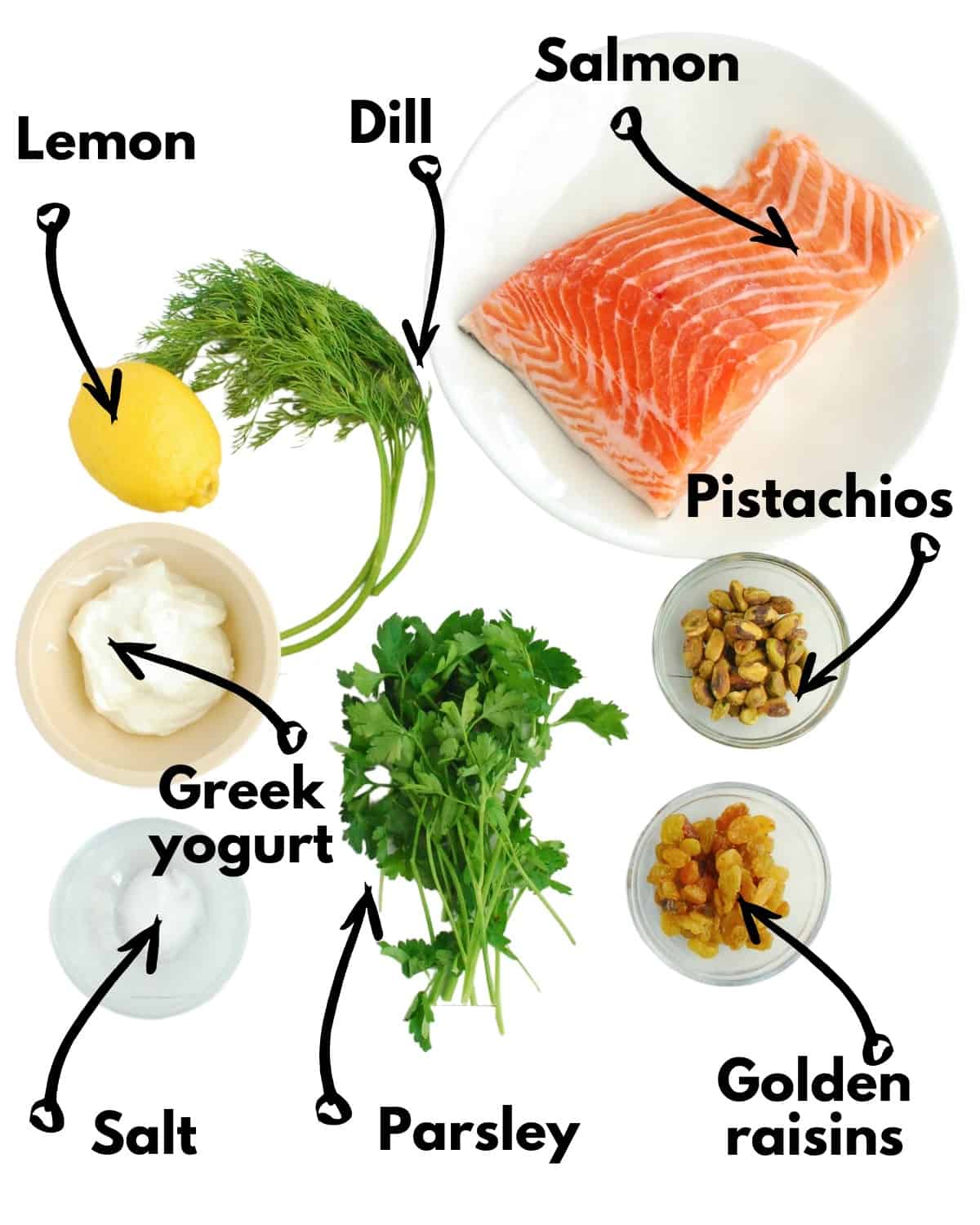 Salmon, lemon, dill, parsley, yogurt, salt, pistachios, and golden raisins on a white backdrop.