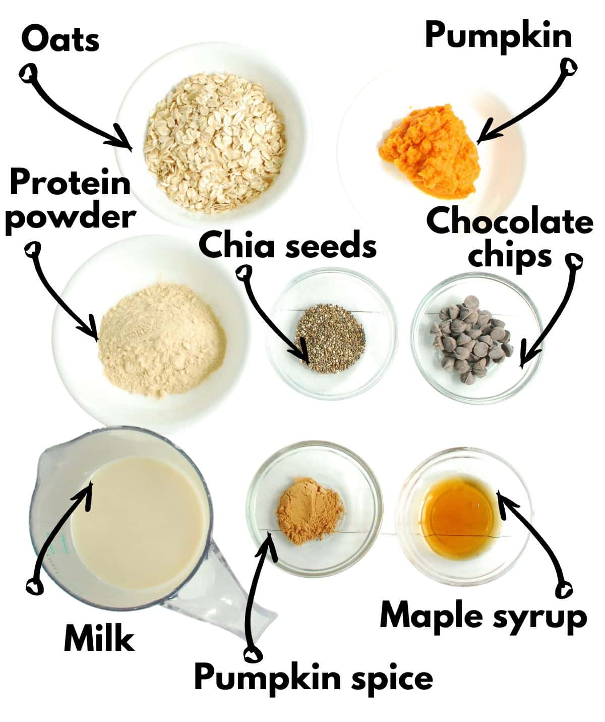 Oats, pumpkin, chocolate chips, chia seeds, protein powder, milk, pumpkin spice, and maple syrup.