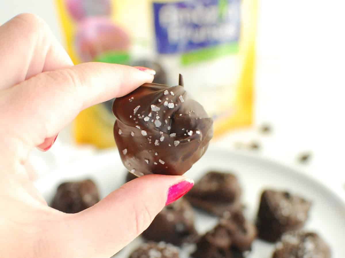 A woman's hand holding a chocolate covered prune.
