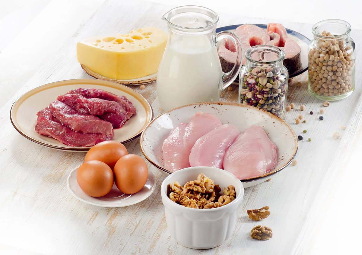 Chicken, eggs, steak, milk, nuts, fish, and lentils as examples of high protein foods.