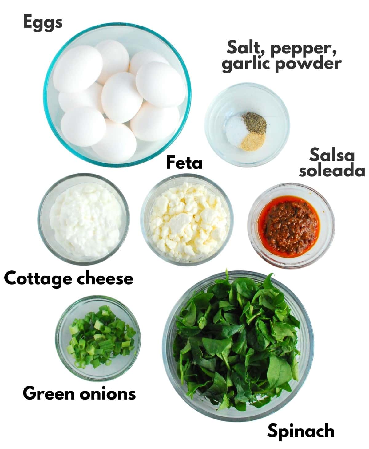 Eggs, cottage cheese, feta, spinach, green onions, salsa, salt, pepper, and garlic powder.