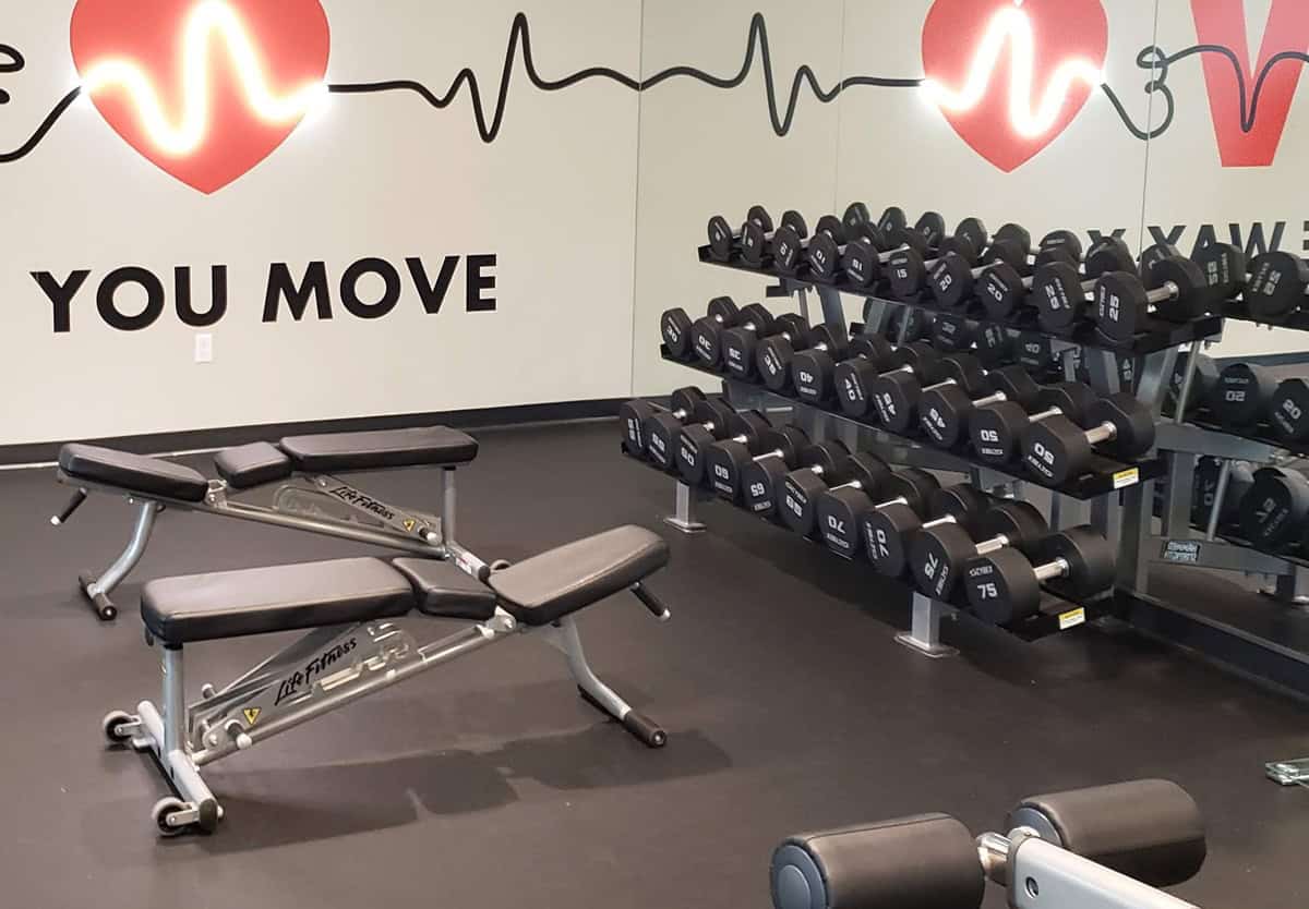 A variety of weights on a rack in a small gym, next to some benches.
