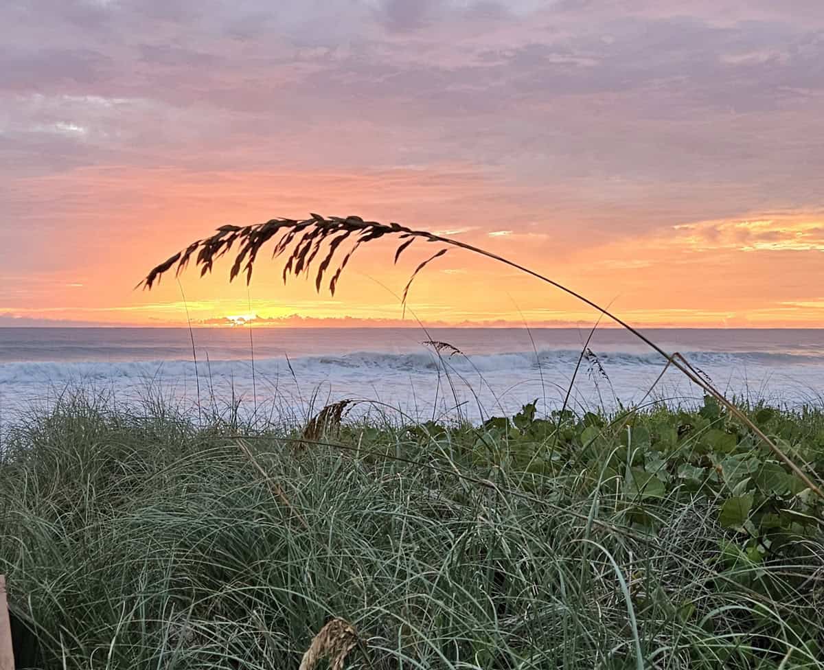 The sun rising at the beach.